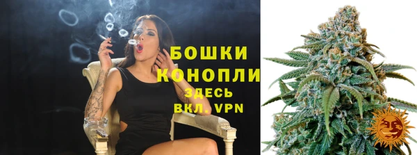 spice Гусиноозёрск