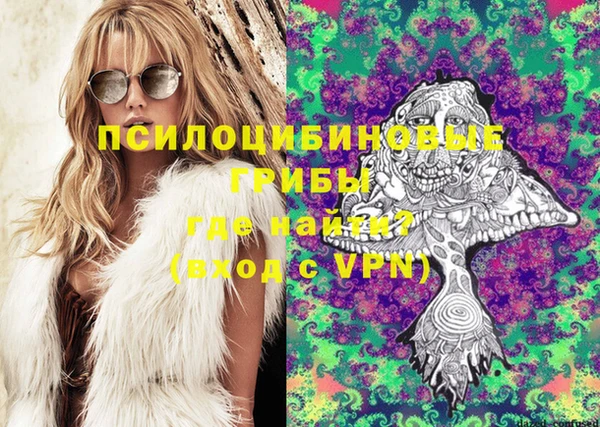 spice Гусиноозёрск