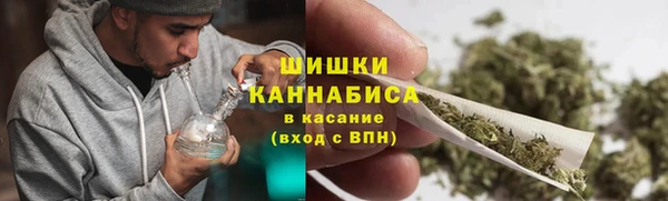 spice Гусиноозёрск