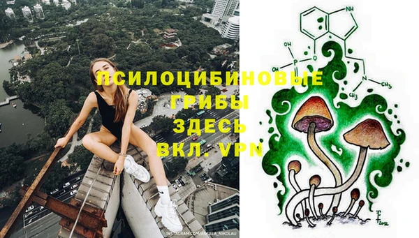 spice Гусиноозёрск