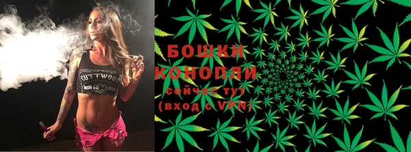 spice Гусиноозёрск