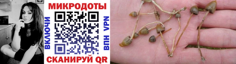 Псилоцибиновые грибы Psilocybe  мега ссылки  Калининград  купить  цена 